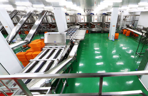 食品行業(yè)十萬級凈化車間潔凈室(區(qū))-好想你棗業(yè)-志遠(yuǎn)凈化